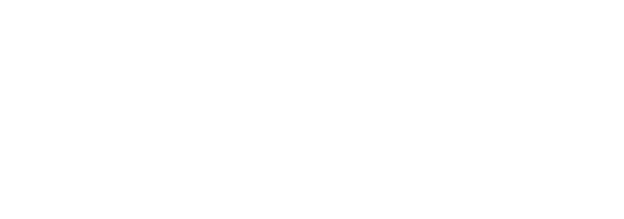 Leons Logo